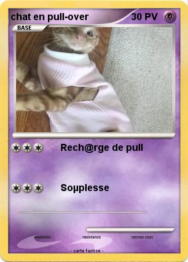 Pokemon chat en pull-over