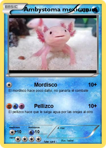 Pokemon Ambystoma mexicanum