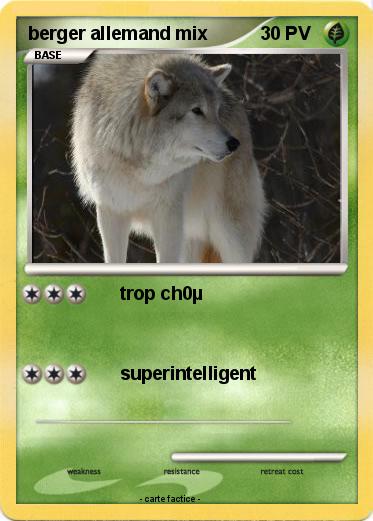 Pokemon berger allemand mix