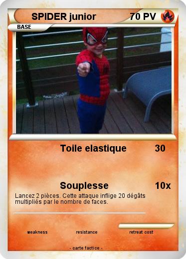 Pokemon SPIDER junior