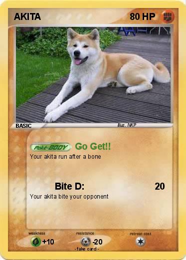 Pokemon AKITA