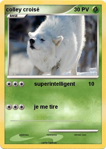 Pokemon colley croisé