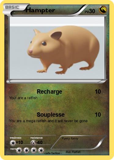 Pokemon Hampter
