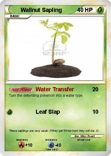 Pokemon Wallnut Sapling