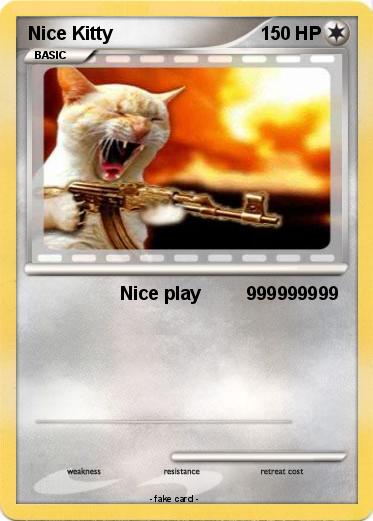 Pokemon Nice Kitty