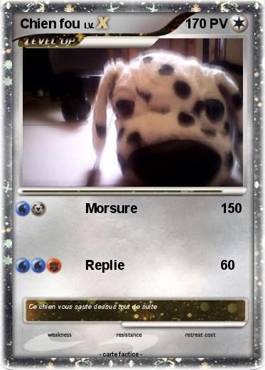 Pokemon Chien fou