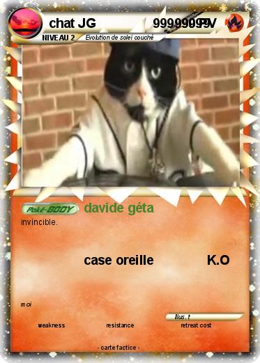 Pokemon chat JG                99999999