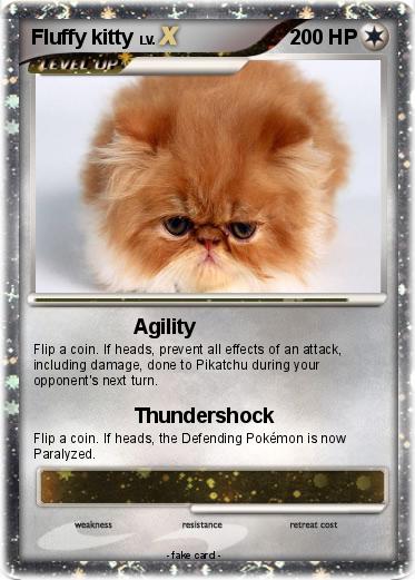Pokemon Fluffy kitty