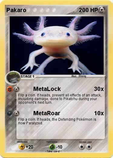 Pokemon Pakaro