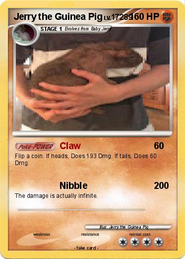 Pokemon Jerry the Guinea Pig