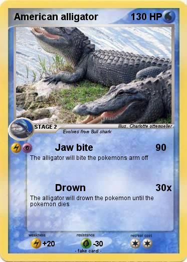 Pokemon American alligator
