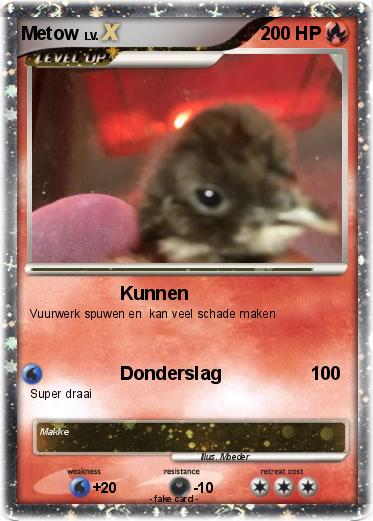 Pokemon Metow
