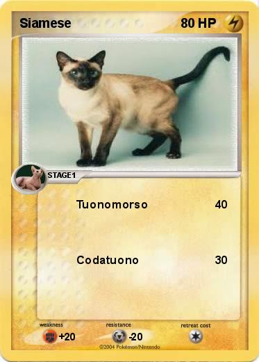 Pokemon Siamese