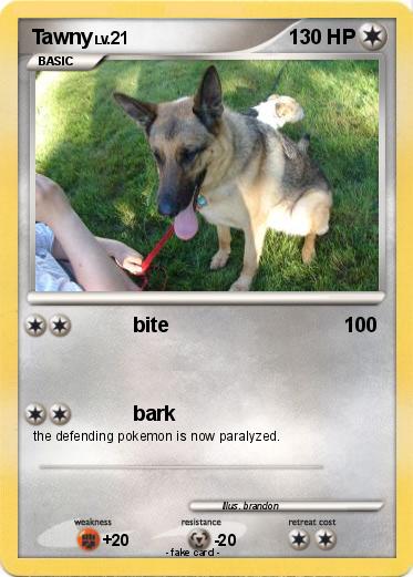 Pokemon Tawny
