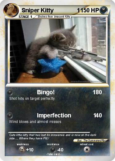 Pokemon Sniper Kitty               1