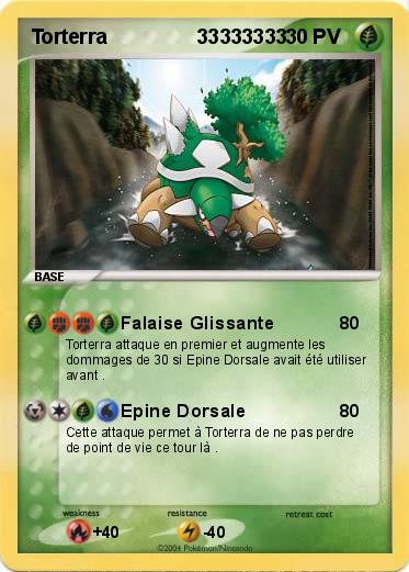 Pokemon Torterra                33333333