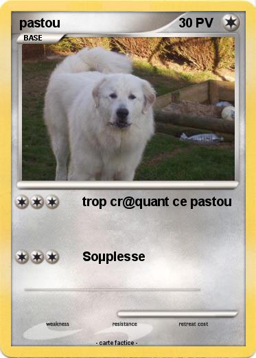 Pokemon pastou