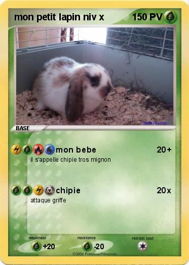 Pokemon mon petit lapin niv x