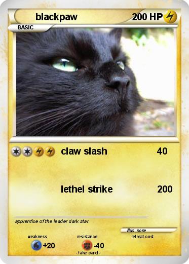 Pokemon blackpaw
