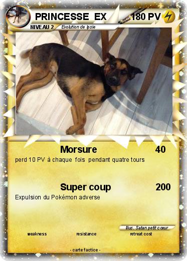 Pokemon PRINCESSE  EX