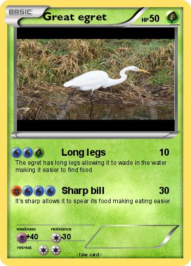 Pokemon Great egret