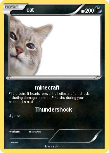 Pokemon cat