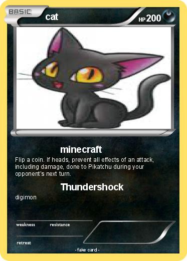 Pokemon cat