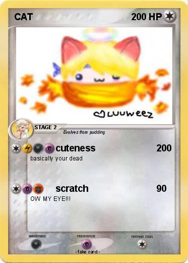 Pokemon CAT