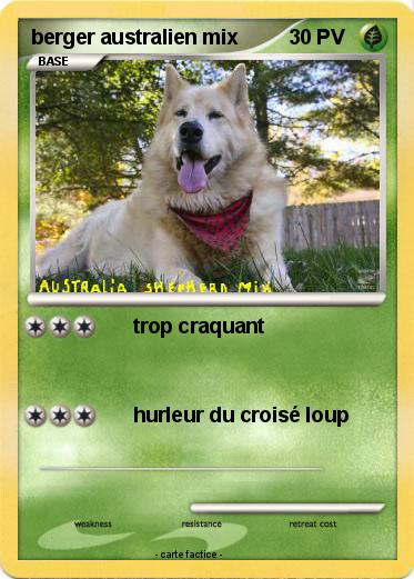 Pokemon berger australien mix