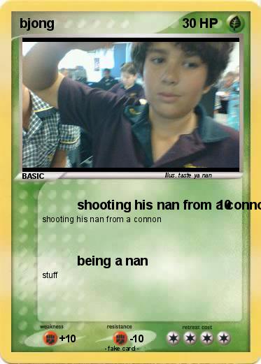 Pokemon bjong