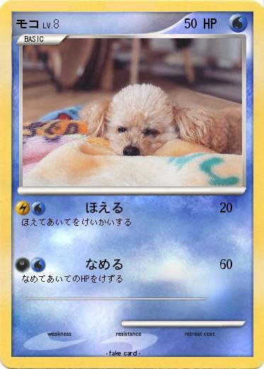 Pokemon モコ