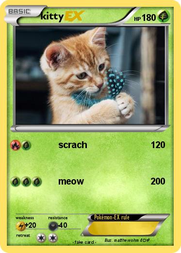 Pokemon kitty