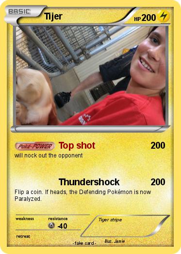 Pokemon Tijer