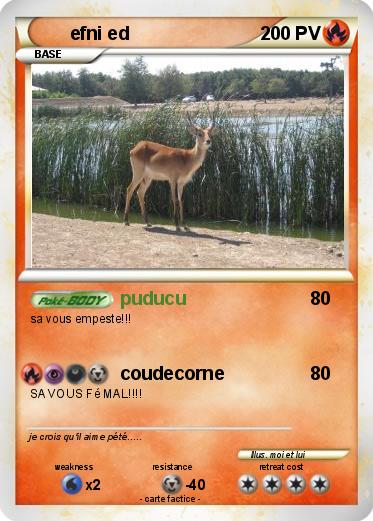 Pokemon efni ed