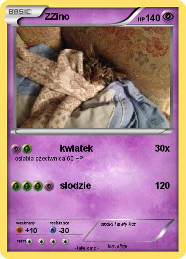 Pokemon ZZino
