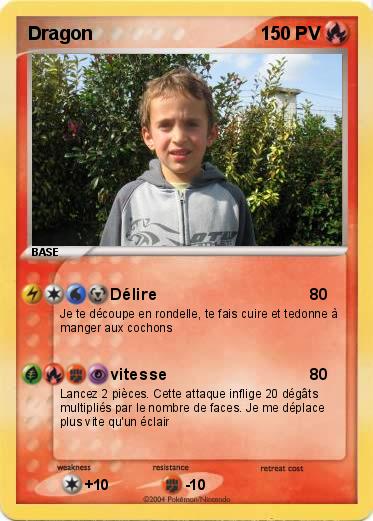 Pokemon Dragon