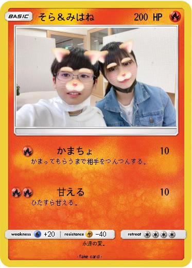 Pokemon そら＆みはね