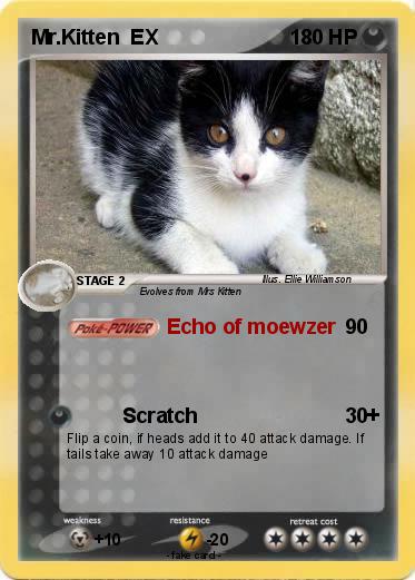 Pokemon Mr.Kitten  EX