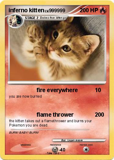 Pokemon inferno kitten