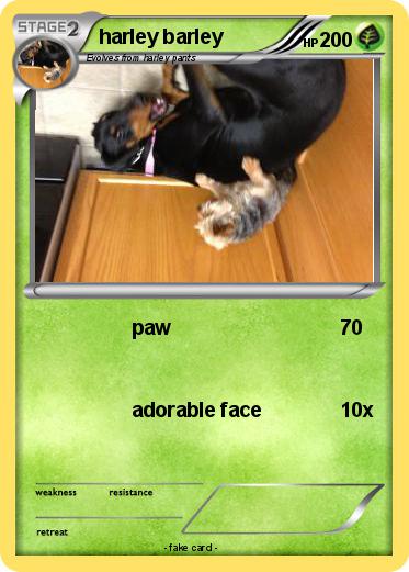 Pokemon harley barley