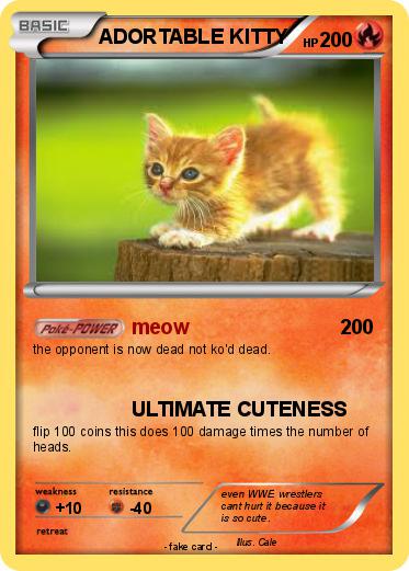 Pokemon ADORTABLE KITTY
