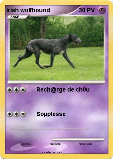 Pokemon irish wolfhound