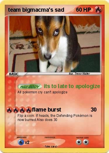 Pokemon team bigmacma's sad
