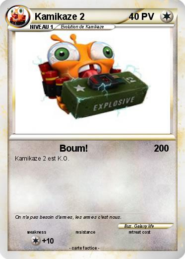 Pokemon Kamikaze 2