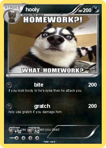 Pokemon hooly