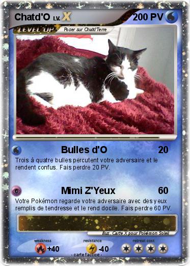 Pokemon Chatd'O