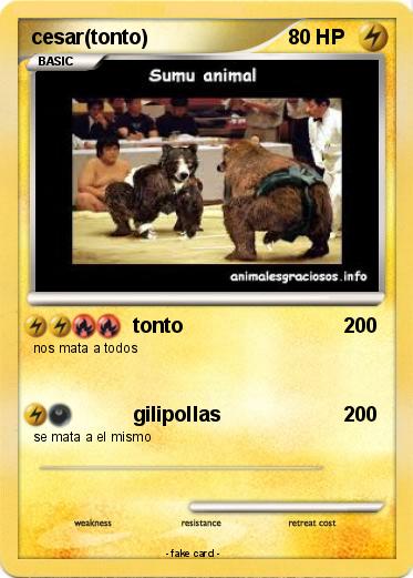 Pokemon cesar(tonto)