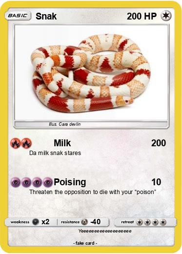 Pokemon Snak