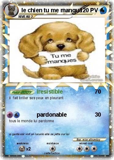 Pokemon le chien tu me manque