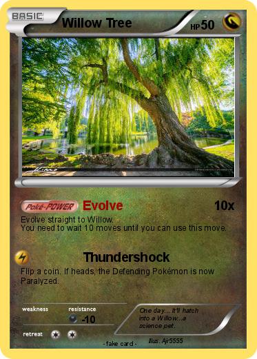 Pokemon Willow Tree